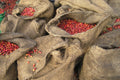 Burka Green Coffee Beans